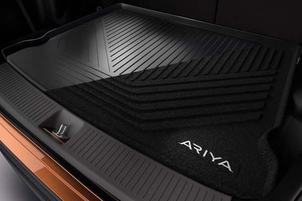 ARIYA 66 acessorios 4
